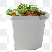 PNG Takeaway food container box mockup with vegetable and blank label mockup packaging plant freshness flowerpot.