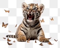 PNG  Baby tiger playing wildlife animal mammal.