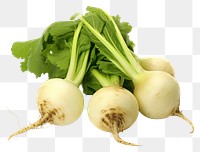 PNG Green turnips vegetable plant food. AI generated Image by rawpixel.