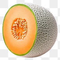 PNG Cantaloupe melon fruit plant.