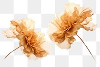 PNG Ink gold carnations flower plant white background. AI generated Image by rawpixel.