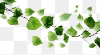 PNG Ink green leaves backgrounds plant leaf. AI generated Image by rawpixel.