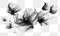 PNG Ink petals drawing sketch white. AI generated Image by rawpixel.