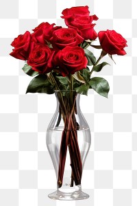 PNG Red roses vase flower glass. 