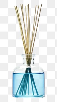 PNG Reed oil diffuser bottle perfume vase. 