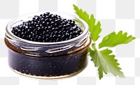 PNG  Caviar blackberry fruit plant.