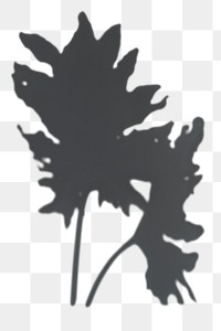 PNG Shadow of leaves, transparent background