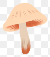 PNG  Mushroom fungus agaric white background. AI generated Image by rawpixel.