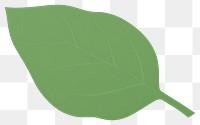 PNG Green leaf plant white background clothing.