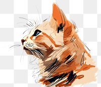 PNG  Cat mammal animal sketch.