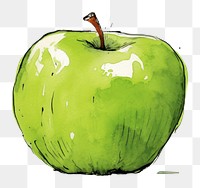 PNG  Apple sketch fruit plant.
