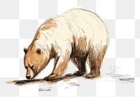 PNG  Bear sketch wildlife drawing.