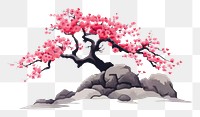 PNG  Cherry blossom flower plant springtime.