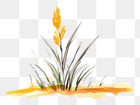 PNG  Plant painting sketch grass.