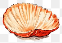 PNG  Shell seafood clam white background.