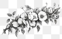 PNG Flower border drawing sketch pattern.