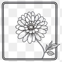 PNG  Drawing sketch flower daisy.