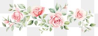 PNG Roses pattern flower plant.