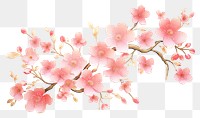 PNG Cherry blossom flower plant white background