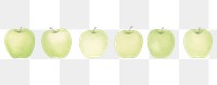 PNG Cute floating apples as divider watercolour illustration fruit plant food.