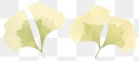 PNG Gingko divider watercolour illustration plant petal leaf.