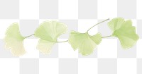 PNG Gingko leaves line as divider line watercolour illustration plant petal leaf.