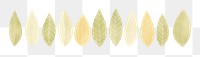 PNG Leaves lines divider watercolour illustration backgrounds nature plant.
