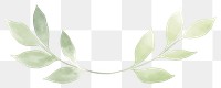 PNG Leaves symmetric watercolour illustration plant leaf white background.