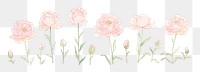 PNG Peonies line as divider line watercolour illustration pattern flower plant.