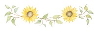 PNG Sunflower symmetric watercolor illustration plant inflorescence creativity.