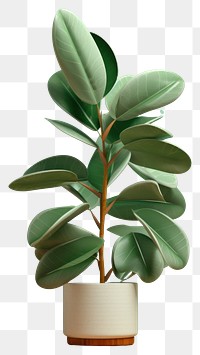 PNG India rubber fig plant green leaf tree. AI generated Image by rawpixel.