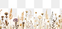 PNG Dried flower backgrounds grassland outdoors.