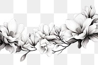 PNG Magnolia drawing flower sketch.