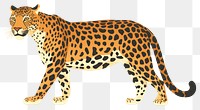 PNG Leopard wildlife cheetah animal. AI generated Image by rawpixel.