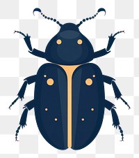 PNG Beetle animal insect invertebrate. AI generated Image by rawpixel.
