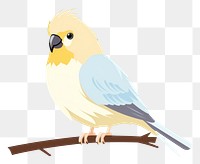 PNG Cockatiel bird animal canary budgerigar. AI generated Image by rawpixel.