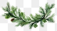 PNG  Green pine twigs christmas plant tree. AI generated Image by rawpixel.
