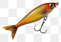 PNG  Fishing bait animal wildlife goldfish. AI generated Image by rawpixel.