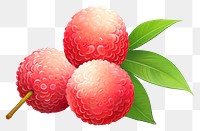 PNG Lychee outdoors fruit berry.