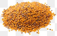 PNG Lentils seeds backgrounds vegetable lentil.