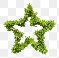 PNG Star shape made from Plant plant green herbs.