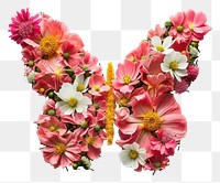 PNG Flat floral butterfly shape flower pattern nature.