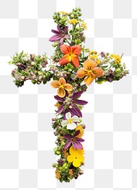 PNG Flat flower cross icon shape symbol nature plant.