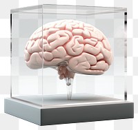 PNG  Brain transparent mineral single object.