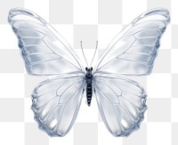 PNG  Butterfly animal insect white.