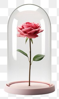 PNG Glass rose flower plant.