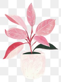 PNG Philodendron Pink Princess plant houseplant flower leaf.