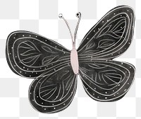 PNG  Butterfly animal black black background.