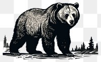 PNG  Bear bear wildlife mammal.