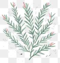 PNG  Chalk style rosemary pattern plant leaf.